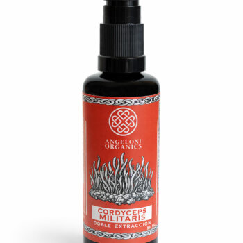 hongo cordyceps militaris