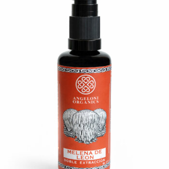 hongo melena de león